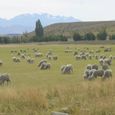 Dsc00206